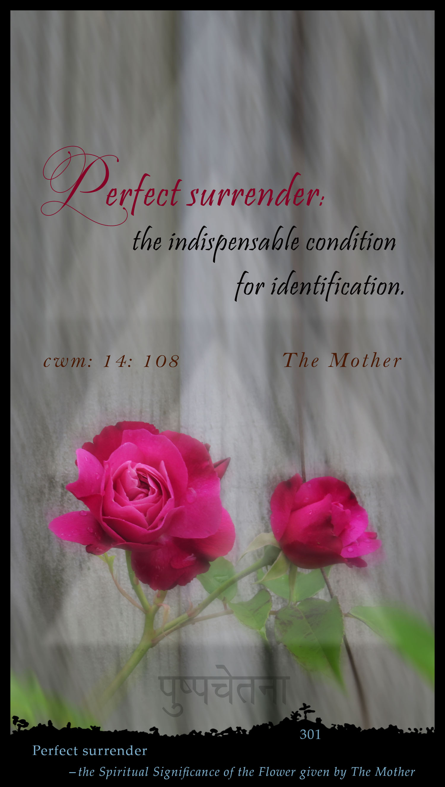 Perfect Surrender